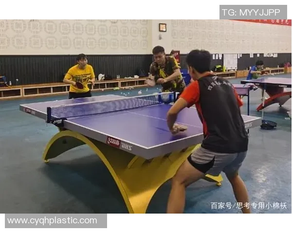 武汉乒乓球队的辉煌蜕变与奋斗历程深度解析