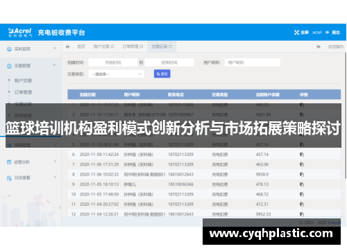 篮球培训机构盈利模式创新分析与市场拓展策略探讨